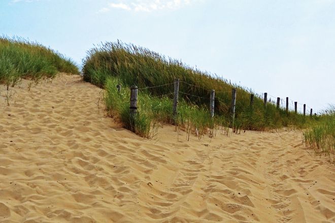 footprints on the dunes of introjects and rules